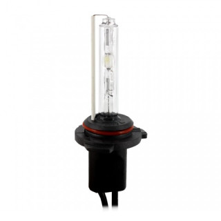 Bec Xenon 9006 4300K - HB4 - CARGUARD ǀ BX-9006-4.3K