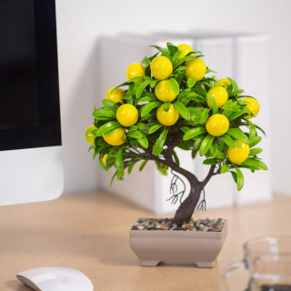 Decor plante artificiale - lamai - 18 x 24 cm ǀ 11833